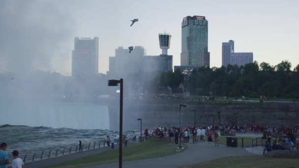 Touristen Auf Goat Island Niagara Falls — Stockvideo