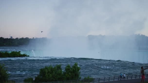Air Terjun Niagara Dilihat Dari Sisi — Stok Video