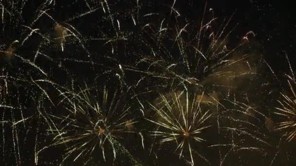 Fuochi Artificio Illuminano Cielo Notturno — Video Stock