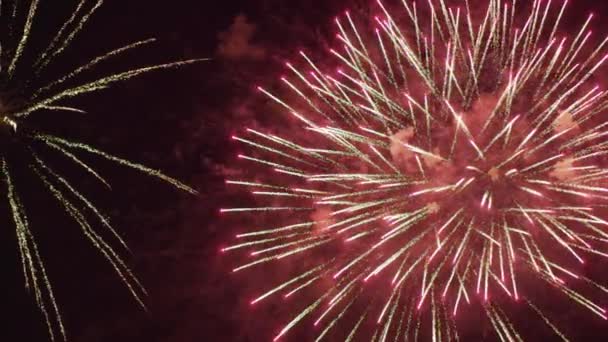 Primer Plano Fuegos Artificiales Por Noche — Vídeos de Stock