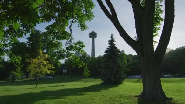 Skylon Tower Von Einem Park Aus Gesehen — Stockvideo