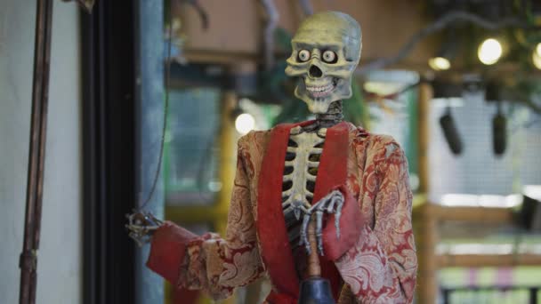 Esqueleto Con Albornoz Rojo — Vídeos de Stock