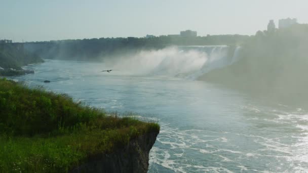 Niagara River American Falls — Stock Video