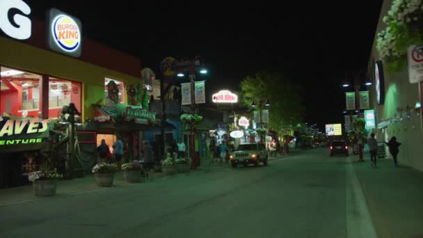 Oneida Lane Las Cataratas Del Niágara Por Noche — Vídeos de Stock