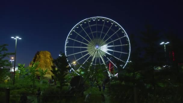 Skywheel Gezien Vanaf Dinosaur Adventure Golf Nachts — Stockvideo