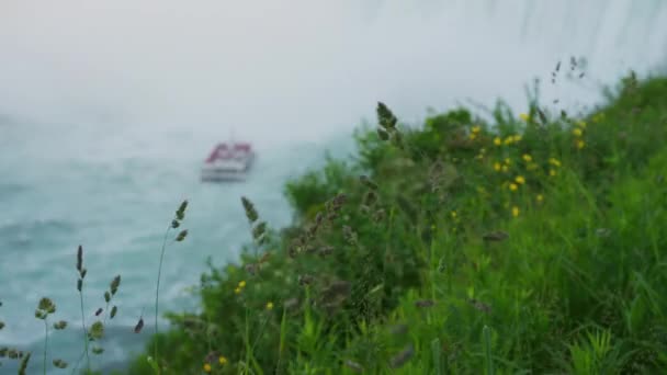 Горничная Тумана Приближается Подкове Водопада — стоковое видео
