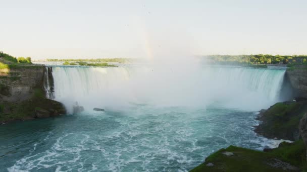 Řeka Niagara Vodopády Podkovy — Stock video