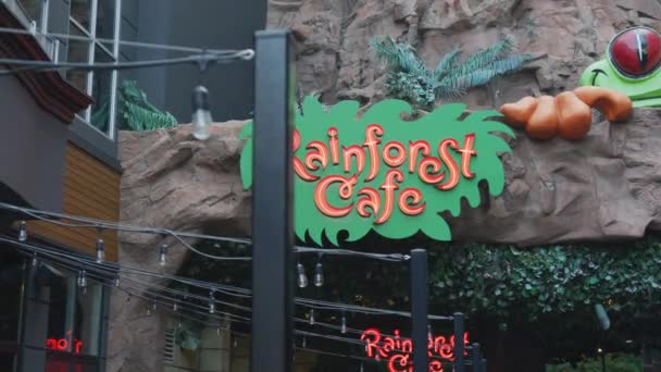 Rainforest Cafe Niagarafallen — Stockvideo