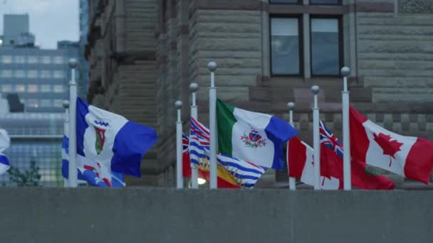 Kanadensiska Provinsflaggor Provinsflaggor — Stockvideo