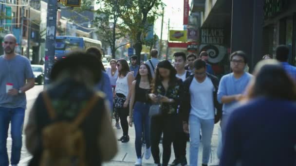 Pessoas Andando Uma Rua Toronto — Vídeo de Stock