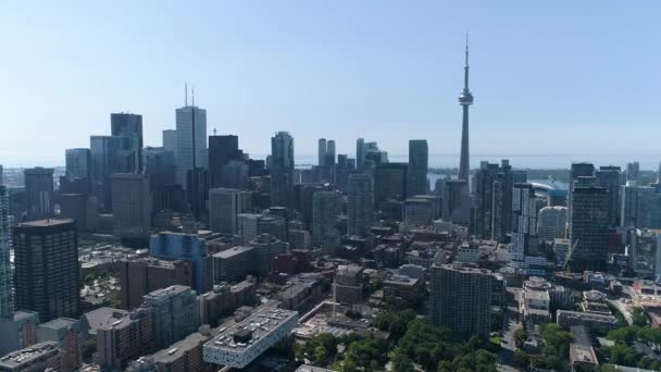 Vedere Panoramică Asupra Toronto — Videoclip de stoc