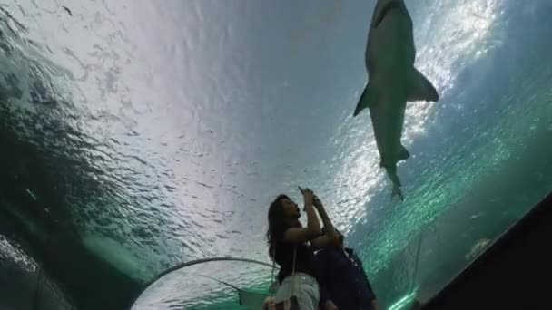 Mulher Tirando Fotos Tubarão Aquário Ripley — Vídeo de Stock