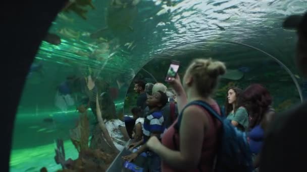 Turistas Admirando Ripley Aquarium Canada — Vídeo de Stock