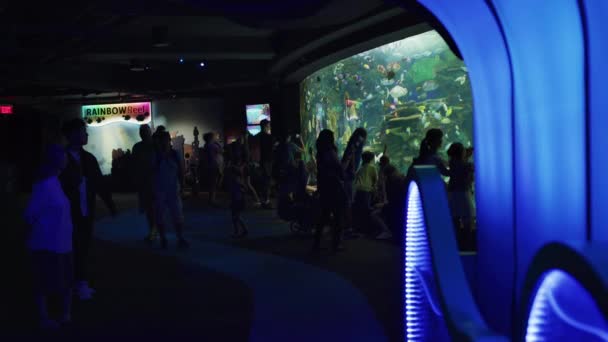 Les Gens Aquarium Ripley — Video