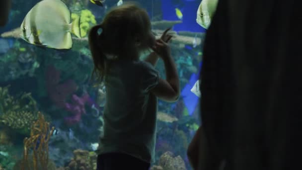 Petite Fille Aquarium Ripley Toronto — Video