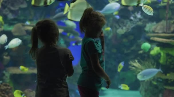 Девушки Любующиеся Тропической Рыбой Аквариуме Рипли Торонто — стоковое видео