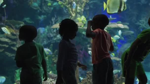 Crianças Ripley Aquarium Toronto — Vídeo de Stock