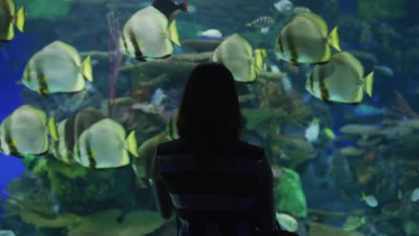 Tropische Vissen Bewonderen Het Ripley Aquarium Toronto — Stockvideo