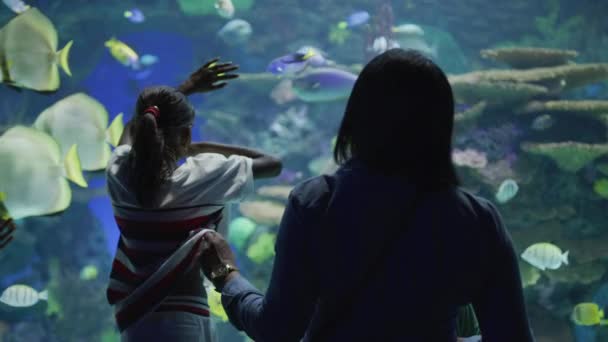Menina Ripley Aquarium Toronto — Vídeo de Stock