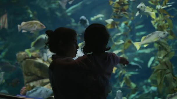 Moeder Met Kind Ripley Aquarium — Stockvideo