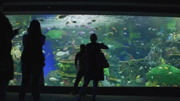 Ripley Aquarium Van Canada Bezoeken — Stockvideo