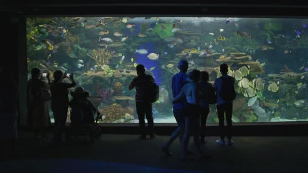 Persone All Acquario Del Canada Ripley — Video Stock