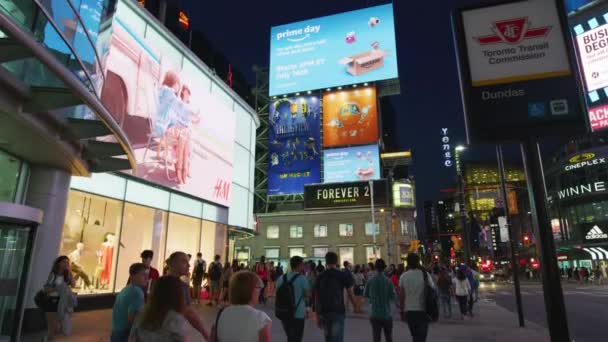 Άνθρωποι Περπατούν Στην Πλατεία Yonge Dundas Νύχτα — Αρχείο Βίντεο