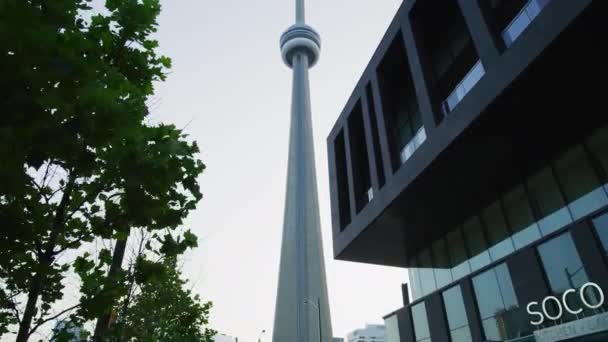 Tower Torontu — Stock video