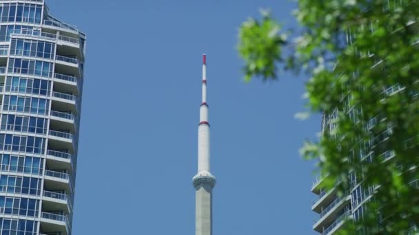 Widok Góry Wieżę Toronto — Wideo stockowe