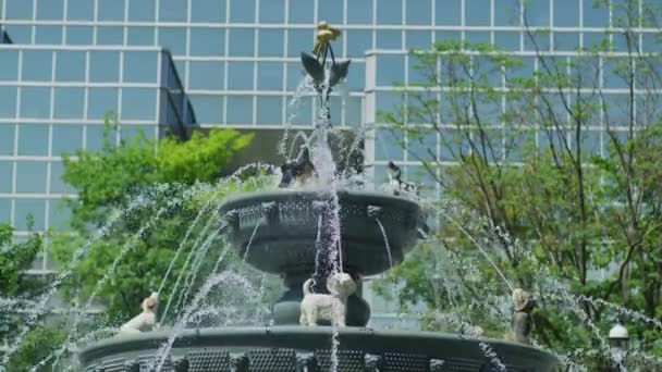 Fontana Berczy Park Toronto — Video Stock