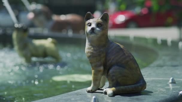 トロントのバーシー公園の犬噴水で猫の彫刻 — ストック動画