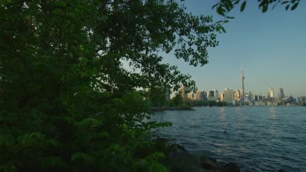 Toronto Şehir Merkezindeki Kulesi Centre Island Dan Görüldü — Stok video