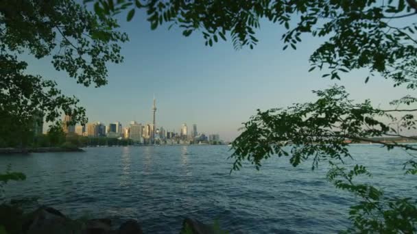 Toronto Şehir Merkezi Centre Island Dan Görüldü — Stok video