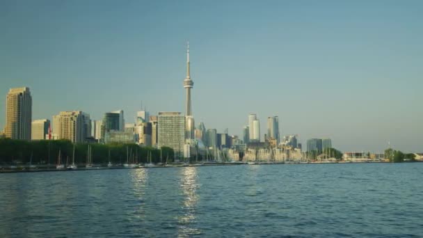 Tower Ile Toronto Silueti — Stok video