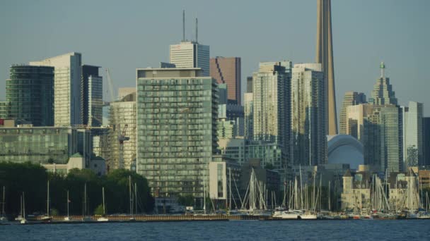 Edifícios Perto Costa Toronto — Vídeo de Stock