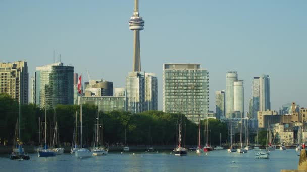 Якорные Лодки Вдоль Побережья Торонто — стоковое видео
