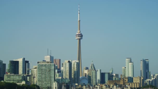 Tour Edifícios Toronto — Vídeo de Stock