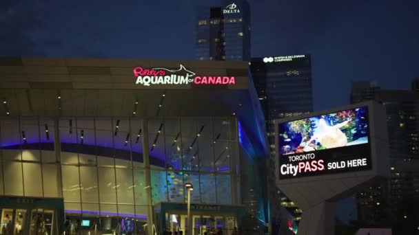 Ripley Aquarium Andere Gebouwen Toronto Nachts — Stockvideo