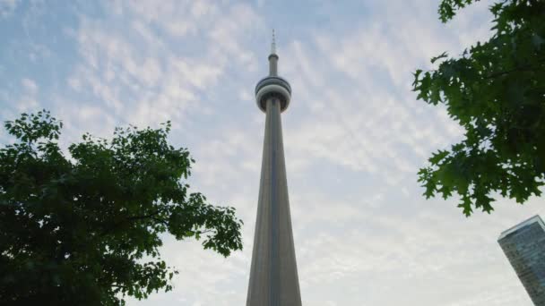 Nízký Úhel Tower Torontu — Stock video