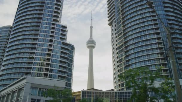 Toronto Daki Kulesi Binaları — Stok video