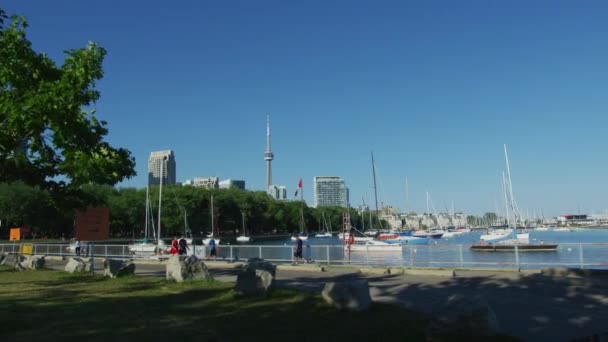 トロントのオンタリオ湖に停泊中の帆船 — ストック動画