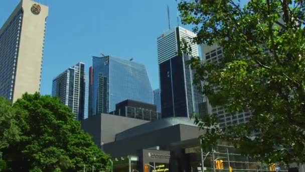 Buildings Seen University Avenue Toronto — Stock Video