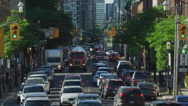 Пробки Торонто — стоковое видео