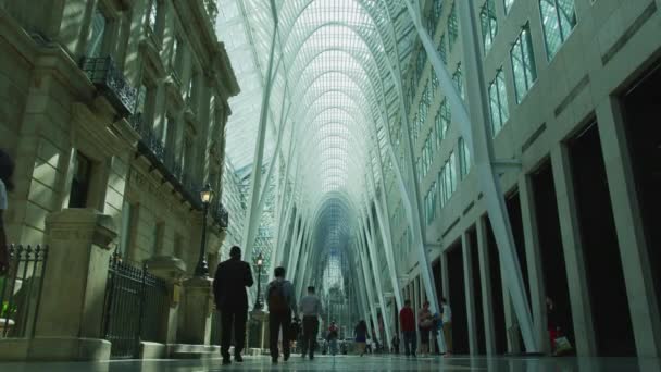 Promenader Inne Allen Lambert Galleria Toronto — Stockvideo