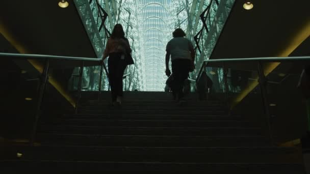 Trap Allen Lambert Galleria Toronto — Stockvideo