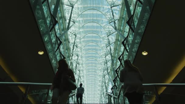 Mensen Lopen Trap Van Allen Lambert Galleria — Stockvideo