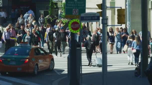Menschen Überqueren Eine Straße Toronto — Stockvideo
