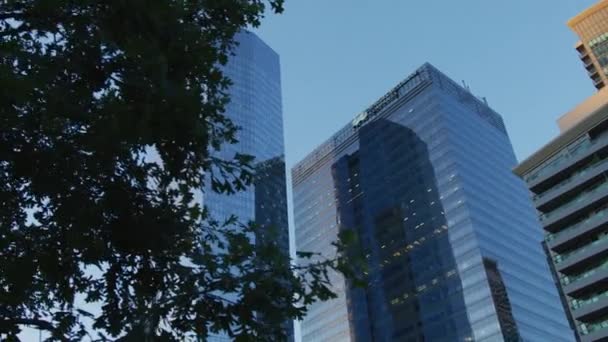 Σύγχρονοι Ουρανοξύστες Στο Τορόντο — Αρχείο Βίντεο
