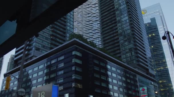 Maple Leaf Square Condos Торонто — стоковое видео