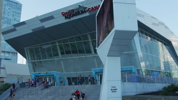 Acuario Ripley Canadá Toronto — Vídeo de stock